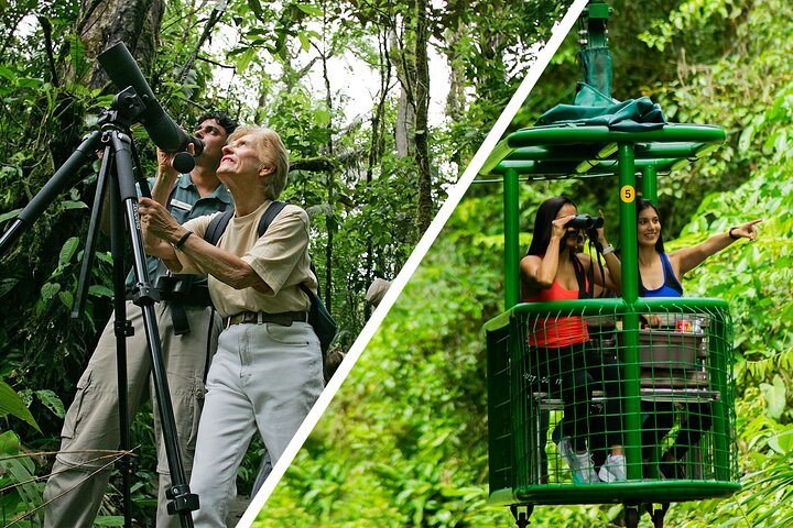 Braulio Carrillo Bird Watching Full Day Pass - Photo 1 of 16